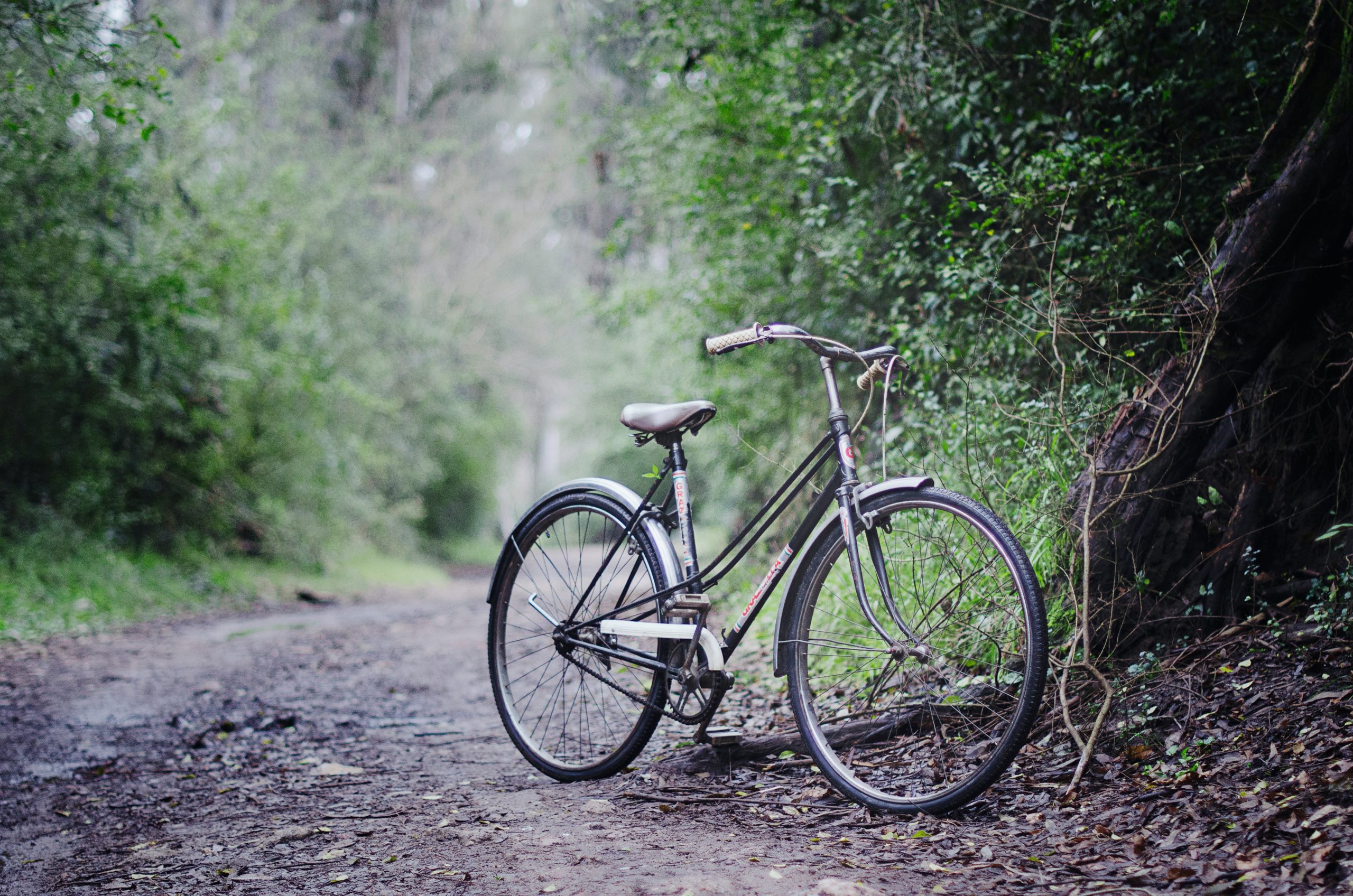 vélo dans la nature